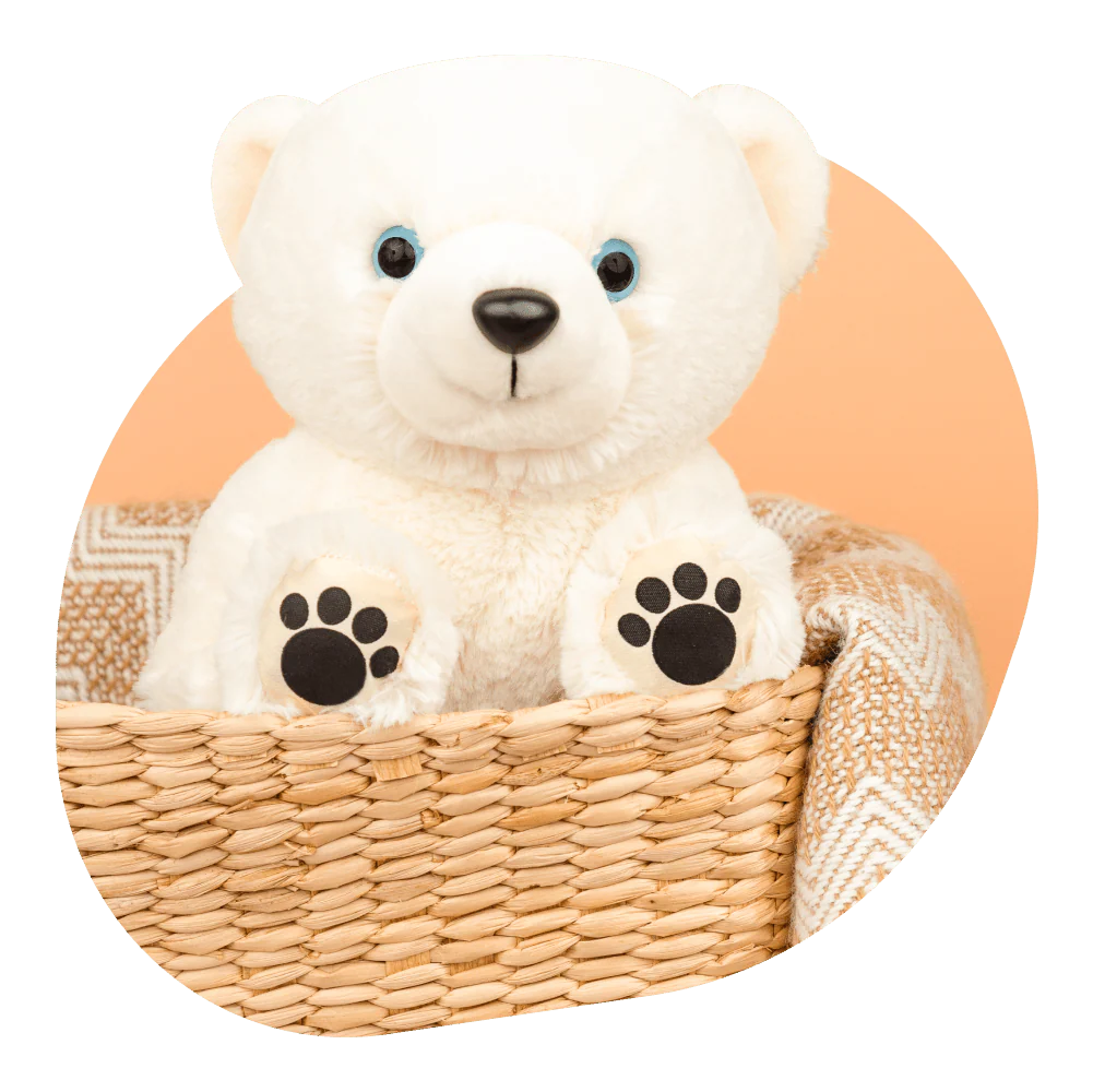 Polar Bear Mission Collection